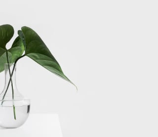 ОТДЕЛ ЗЕЛЕНАЯ ЖИЗНЬ