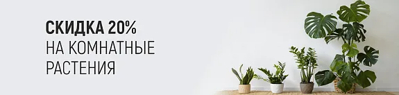 скидка 20% на комнатные растения