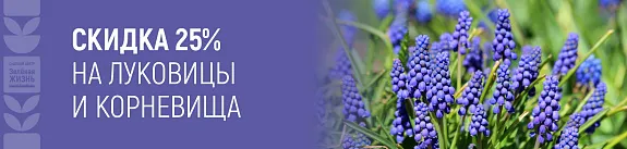 скидка 25% на луковицы и корневища