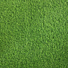 Трава искусственная Prettie Grass 35 мм 2 м