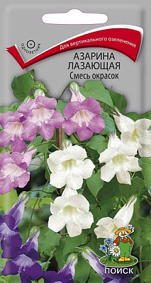 Азарина лазающая Поиск Смесь окрасок Однолетние 10 шт 120826