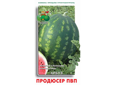 Арбуз Поиск АУ Продюсер ПВП (ЦВ) 15 шт 712271