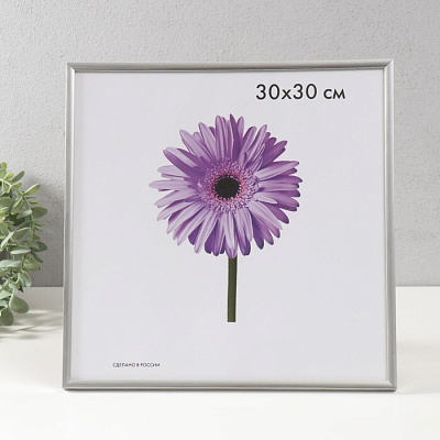 Рамка Метрика Lida ПВХ 30*30см серебро 0123-14-0022