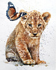Канвасы Postermarket Idea 40*50 см CT3-172